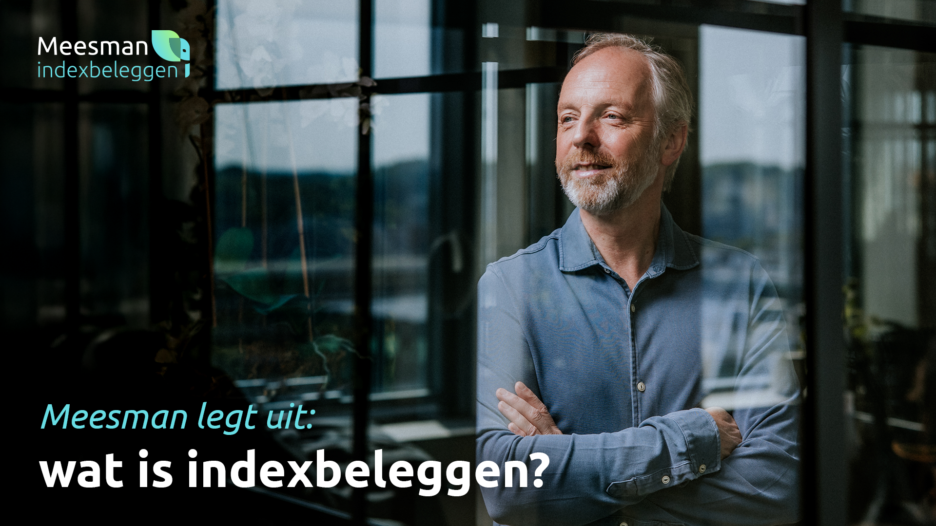 Banner Video Website