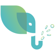 MMC Logo Olifant Flavicon