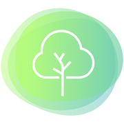 Ios0489 Tree 6 C3