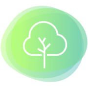 Ios0489 Tree 6 C3
